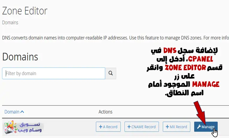 إدارة DNS في قسم Zone Editor