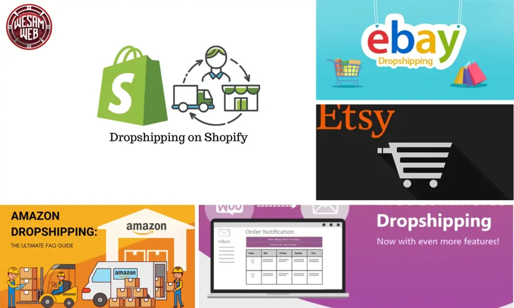 أنواع dropshipping حسب المنصة