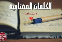 ما هي الكلمات المفتاحية في SEO؟ الدليل الشامل لاختيارها واستخدامها لتصدر نتائج البحث