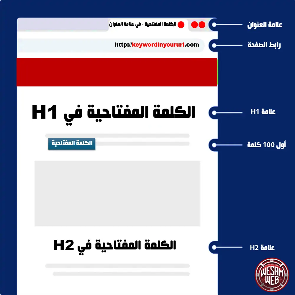 تشريح الكلمة المفتاحية في مقال seo