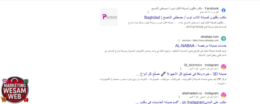 قسم النتائج العضوية (Organic Results)